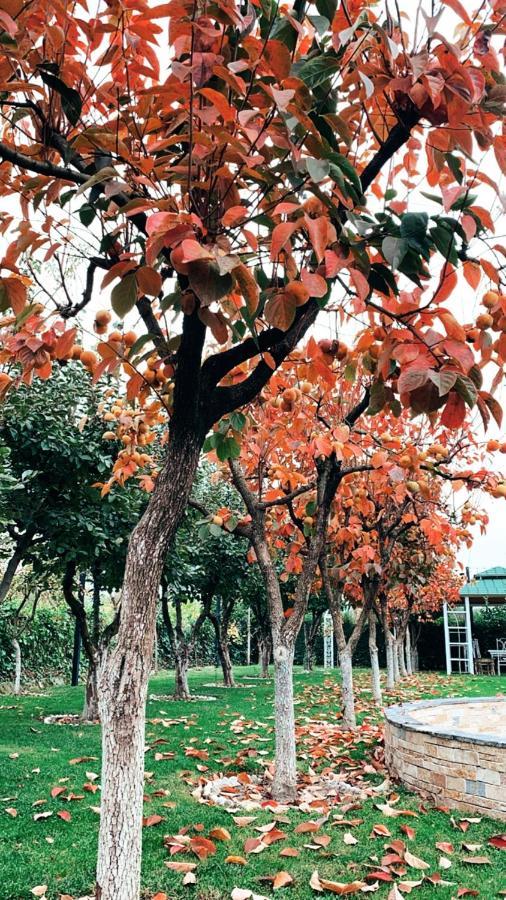 ホテル Park Ashik Ljaknasi エクステリア 写真